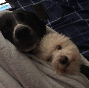 Meet your Posher, Molly